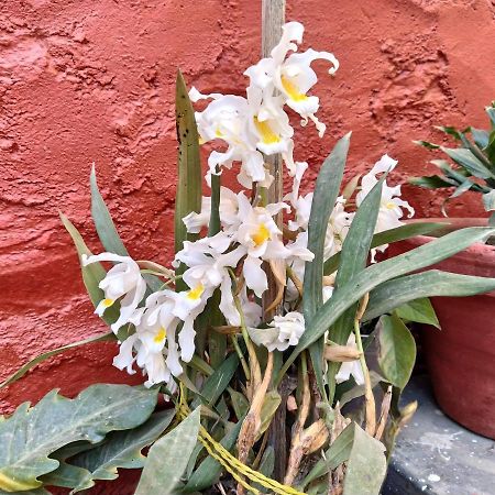 Bhattidanda Fresh & Natural Homestay Dhulikhel Dış mekan fotoğraf