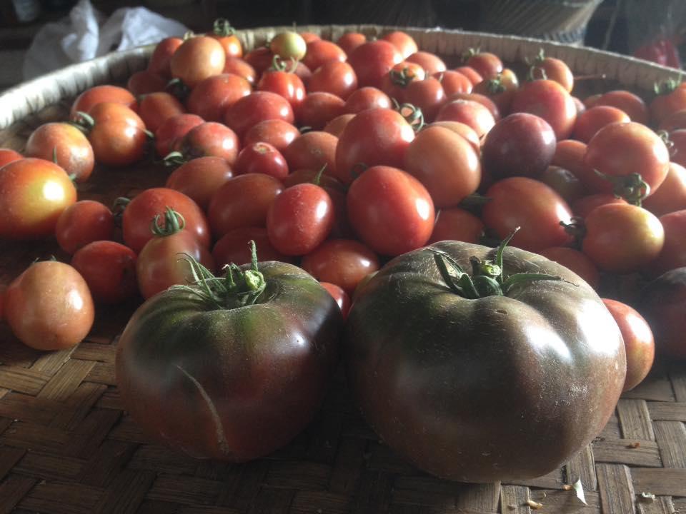 Bhattidanda Fresh & Natural Homestay Dhulikhel Dış mekan fotoğraf
