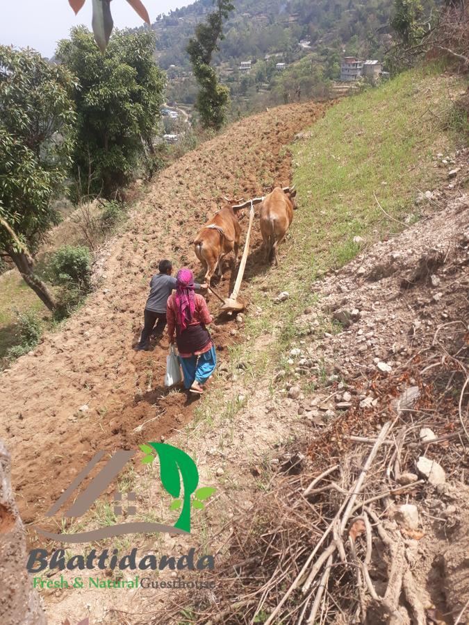 Bhattidanda Fresh & Natural Homestay Dhulikhel Dış mekan fotoğraf