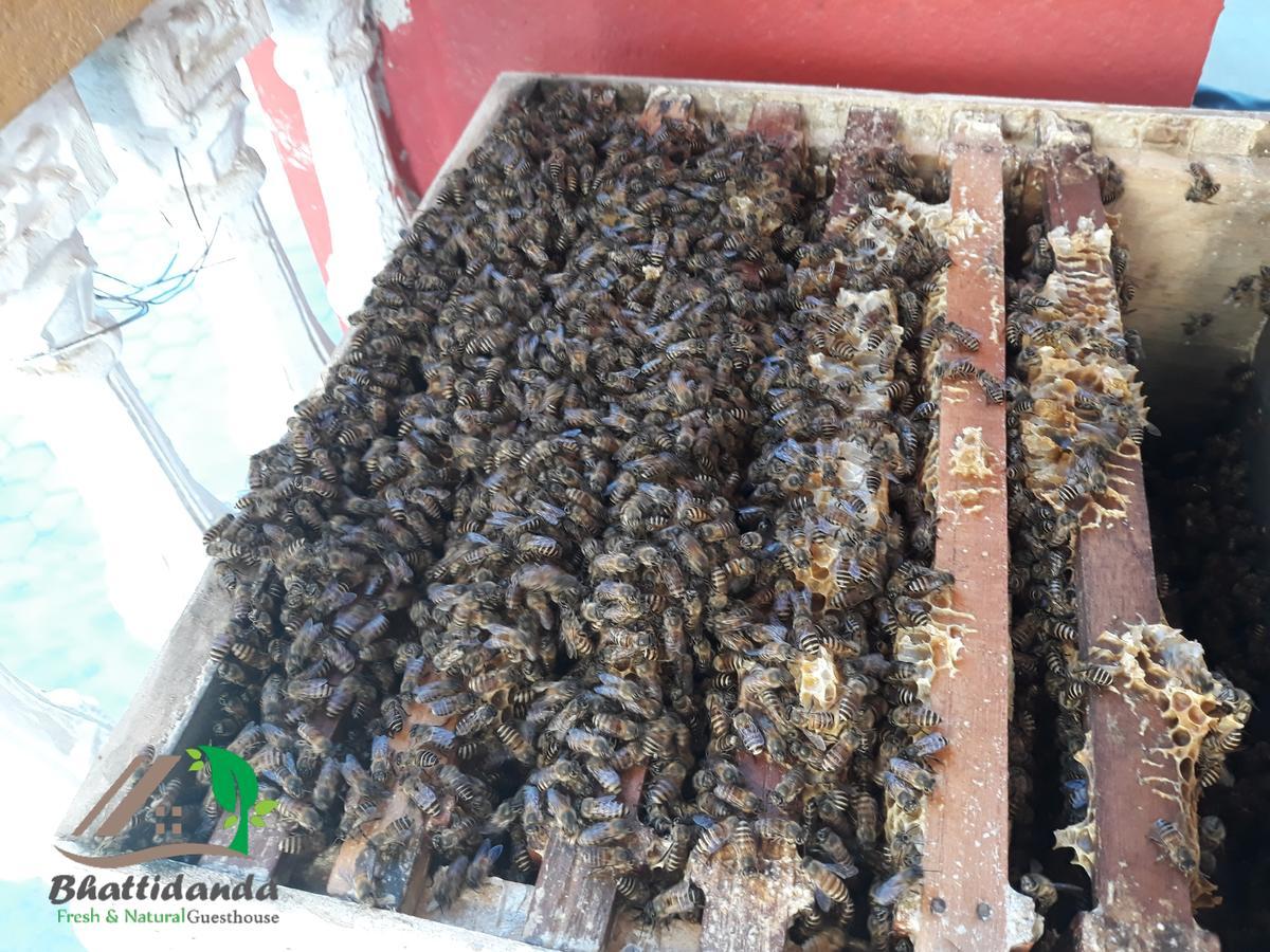 Bhattidanda Fresh & Natural Homestay Dhulikhel Dış mekan fotoğraf